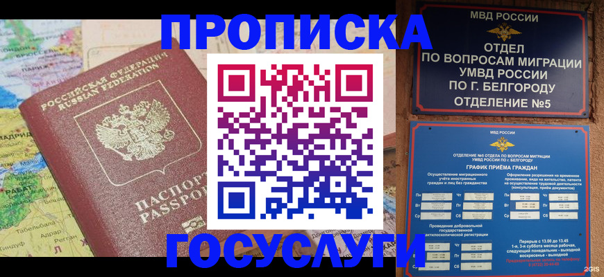 прописка регистрация в Апрелевке